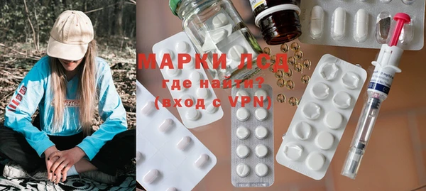 шишки Инта