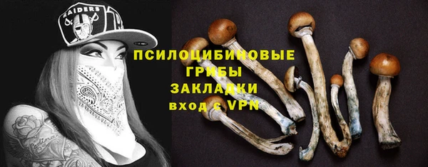 молекула духа Алзамай