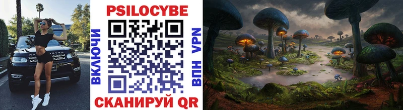 нарко площадка Telegram  Махачкала  Псилоцибиновые грибы Cubensis 